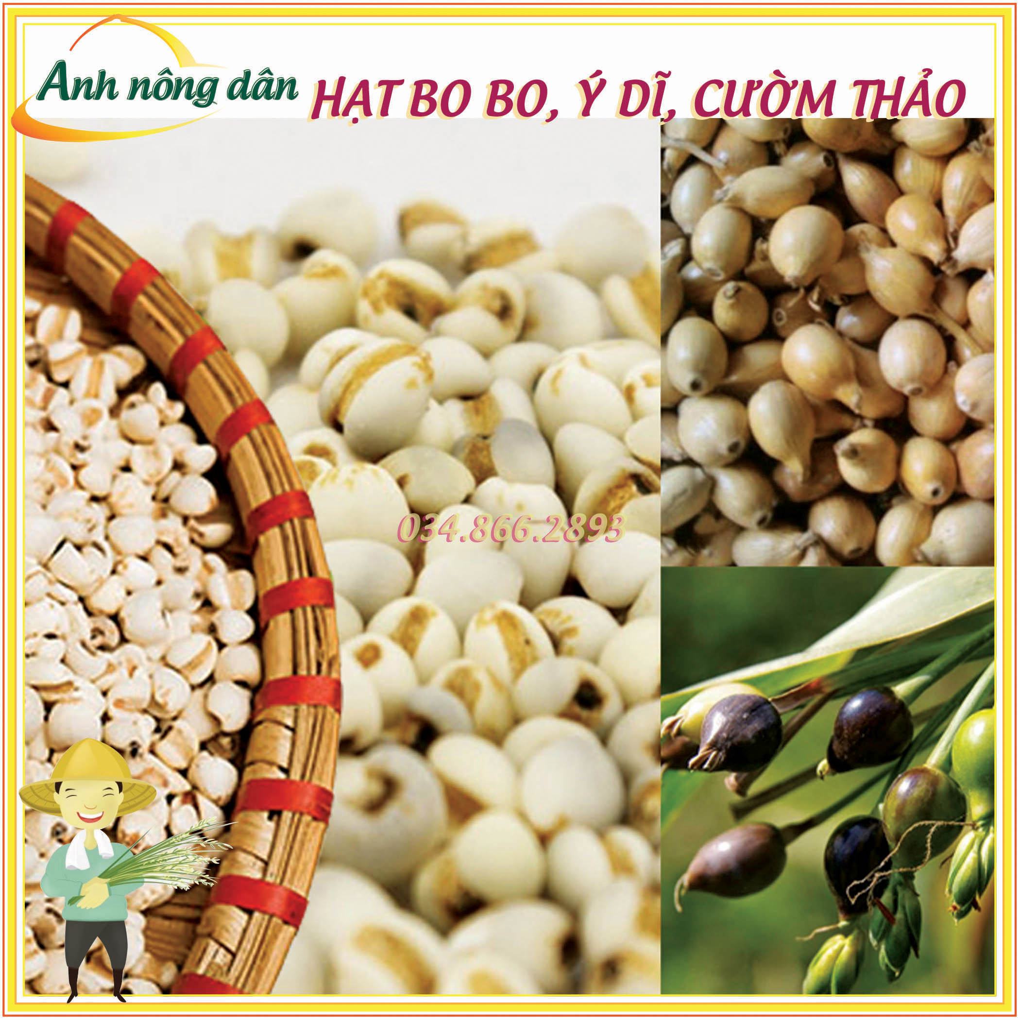 500g Hạt Cây Bo bo, Cây Ý Dĩ, Cườm Thảo - dùng cho chăn nuôi gia súc, gia cầm, thiên cầm