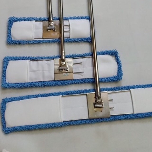 cây lau ẩm san hô 60cm