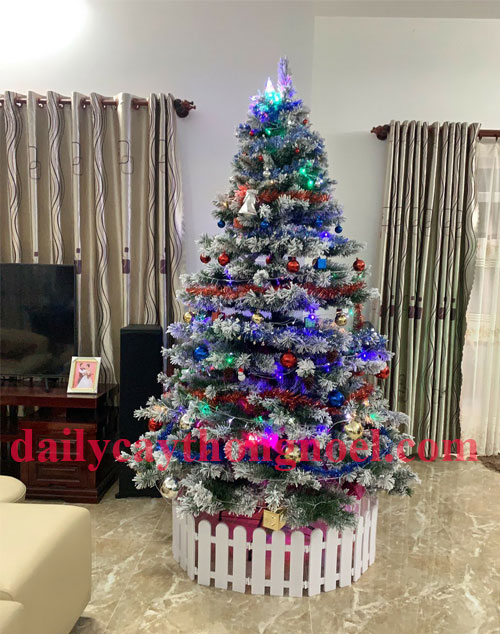 Cây thông noel phủ tuyết đẹp tán dày và chắc chắn