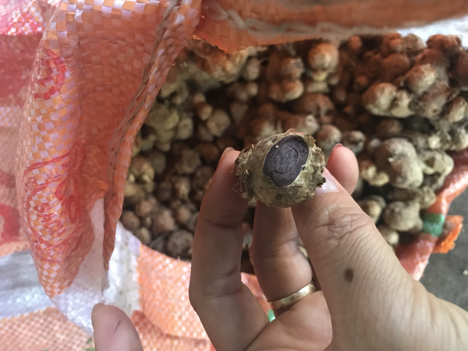 Củ ngãi đen tươi 1 ký (khách đọc thông tin sản phẩm giúp shop nhé)