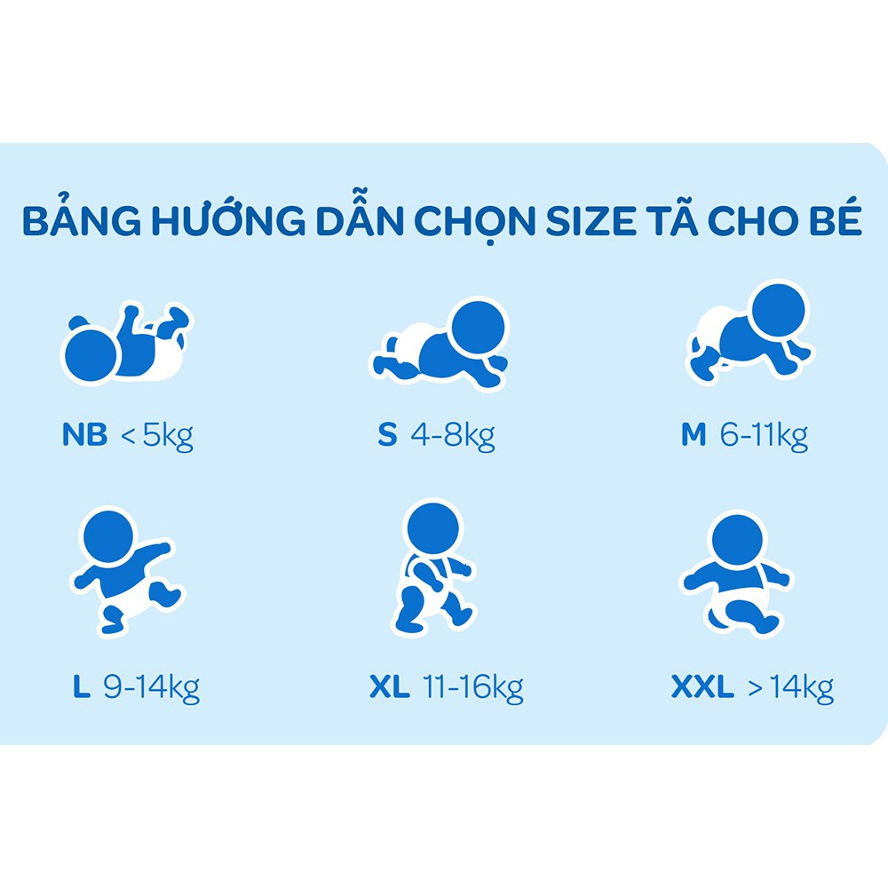 Tã dán tràm trà Huggies XL/L