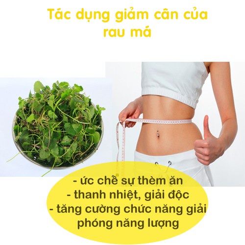 [HOT] Bột rau má nguyên chất 100g - Thảo Dược Tấn Phát
