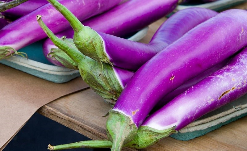 Hạt giống cà tím cao sản