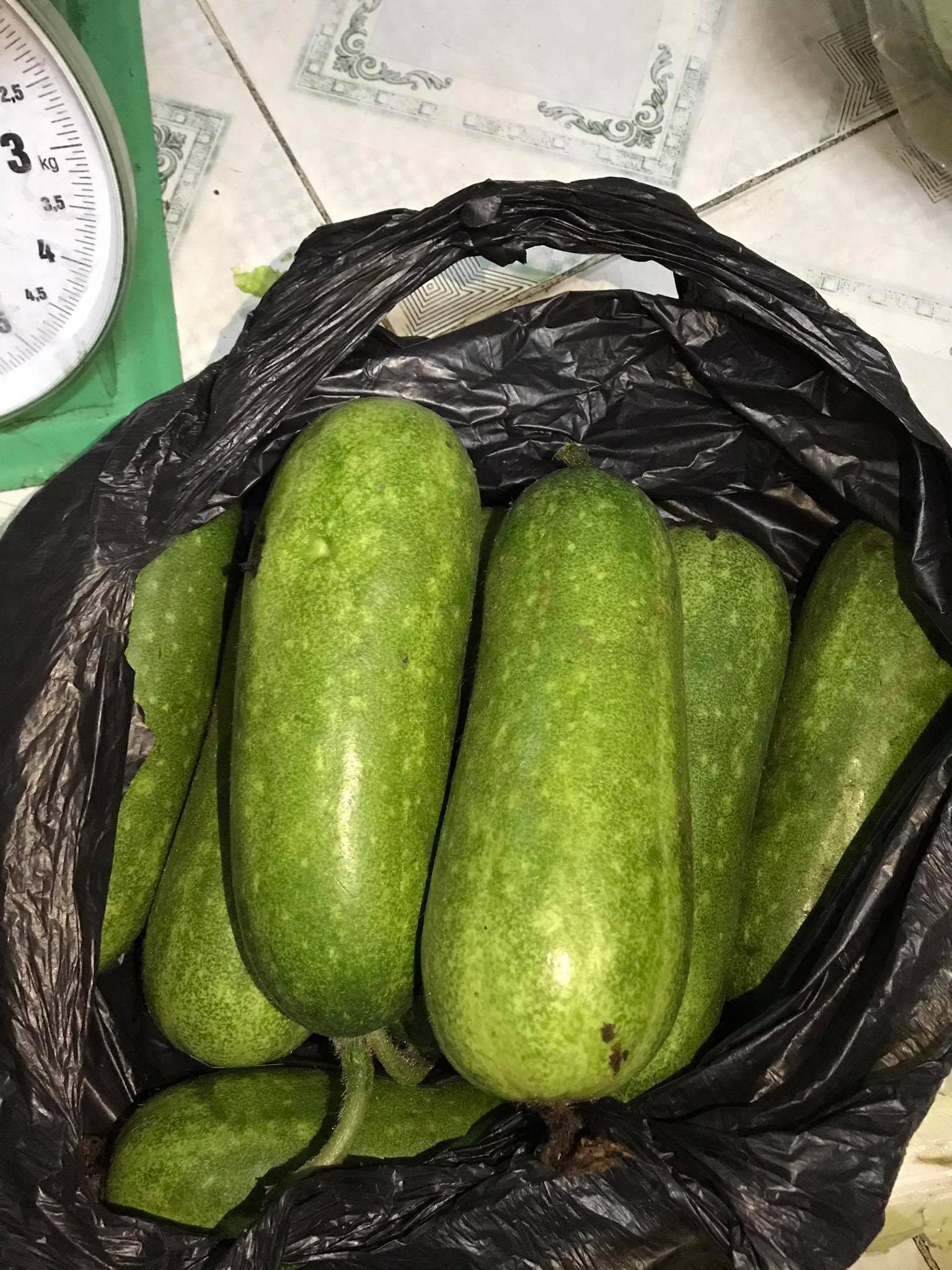 [HCM]TR&AacuteI BẦU