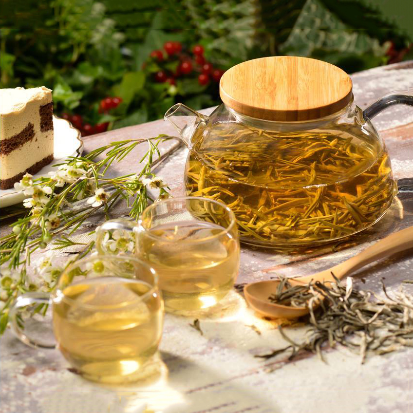 Bình lọc trà hoa thủy tinh Samadoyo S093 900ML