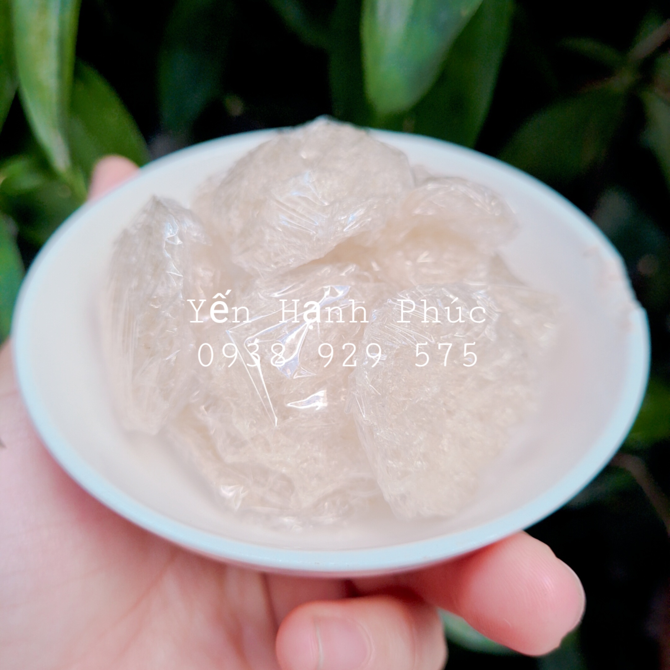 COMBO 5 SET TỔ YẾN CHIA SẴN