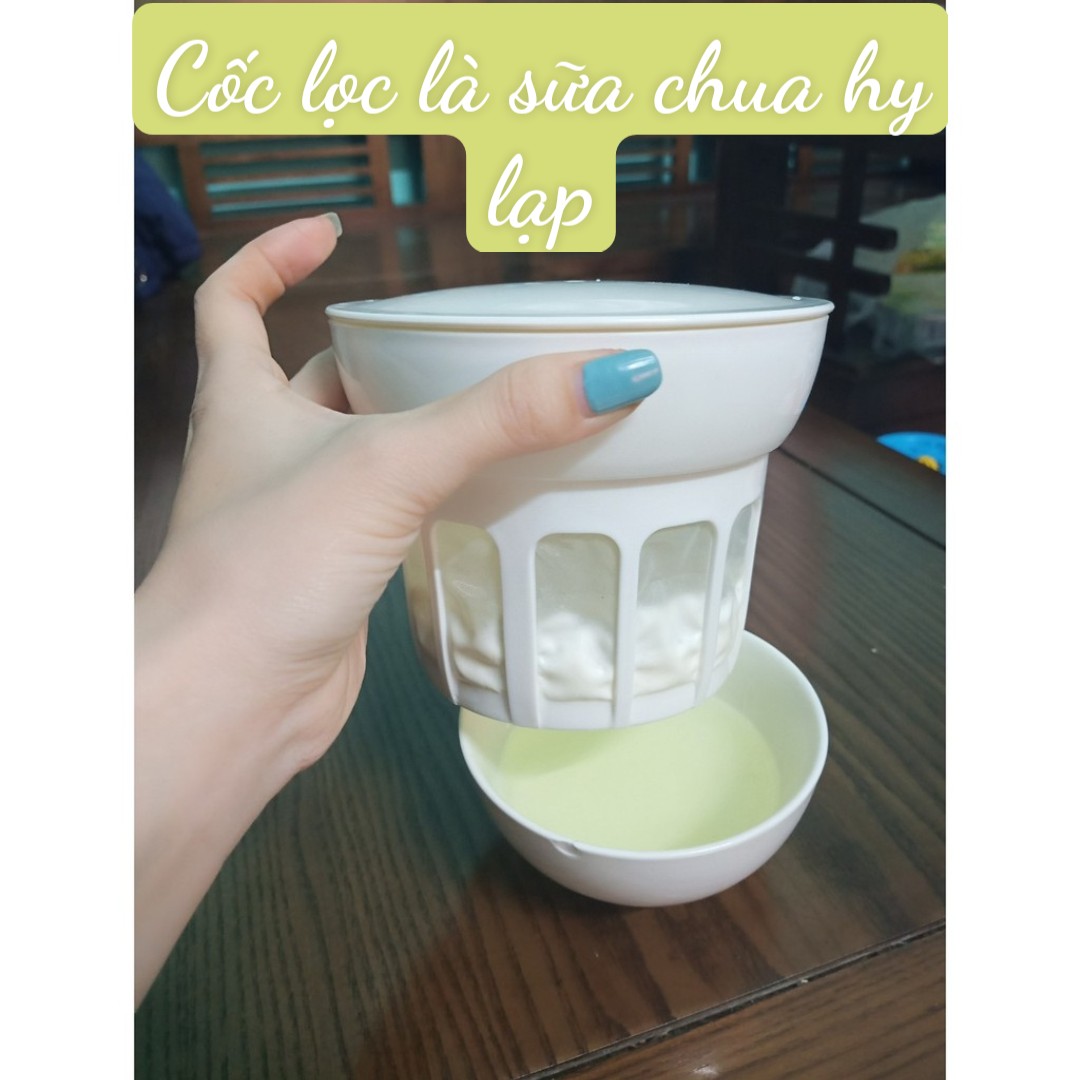 Cốc lọc sữa chua hy lạp CÓ NẮP ĐẬY để tách whey từ sữa chua nấm kefir