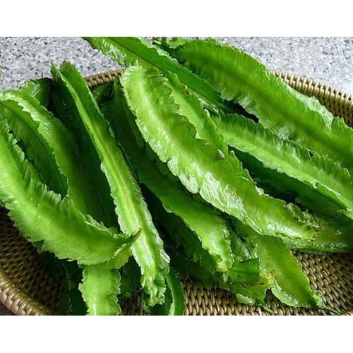 Hạt giống Đậu Rồng Cao Sản 20g