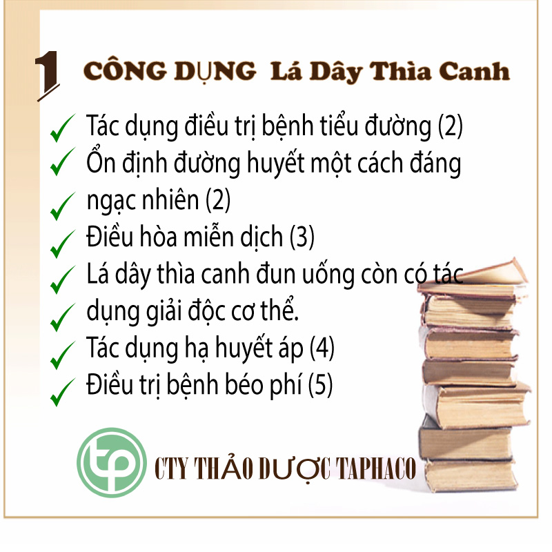 [Túi lớn loại 1kg] Trà dây thìa canh Thảo Dược Tấn Phát - Hàng công ty chất lượng cao chuyên dùng để pha trà cải thiện sức khoẻ - Thích hợp cho người tiểu đường