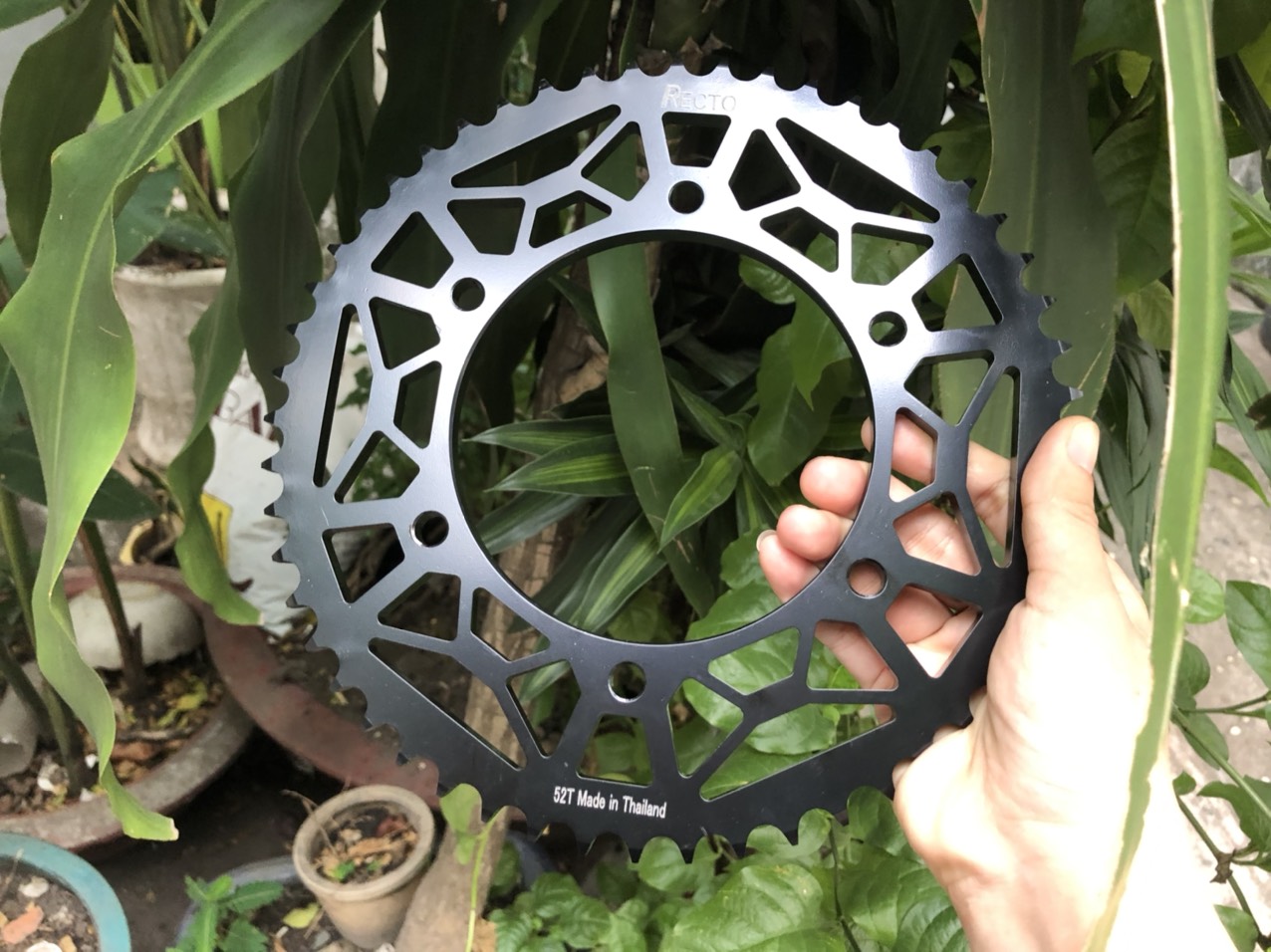 [HCM]DĨA TẢI RECTO THÁI MT15 SIZE 52T