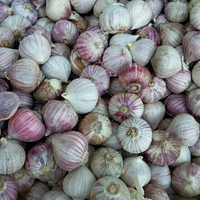 Combo 2kg tỏi cô đơn