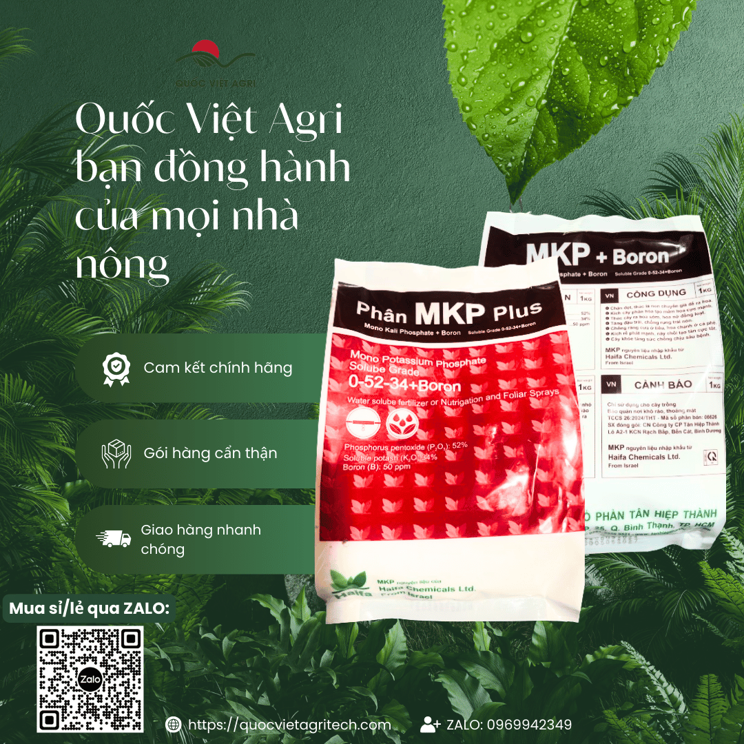 Foliar Fertilizer Mkp Haifa Plus 0-52-34 (1kg Package) - Imported from Israel, Super Promotes Flower Germination, Large Fruit, Large Fruit Size, Inhibits Bud Growth, Promotes Flowering