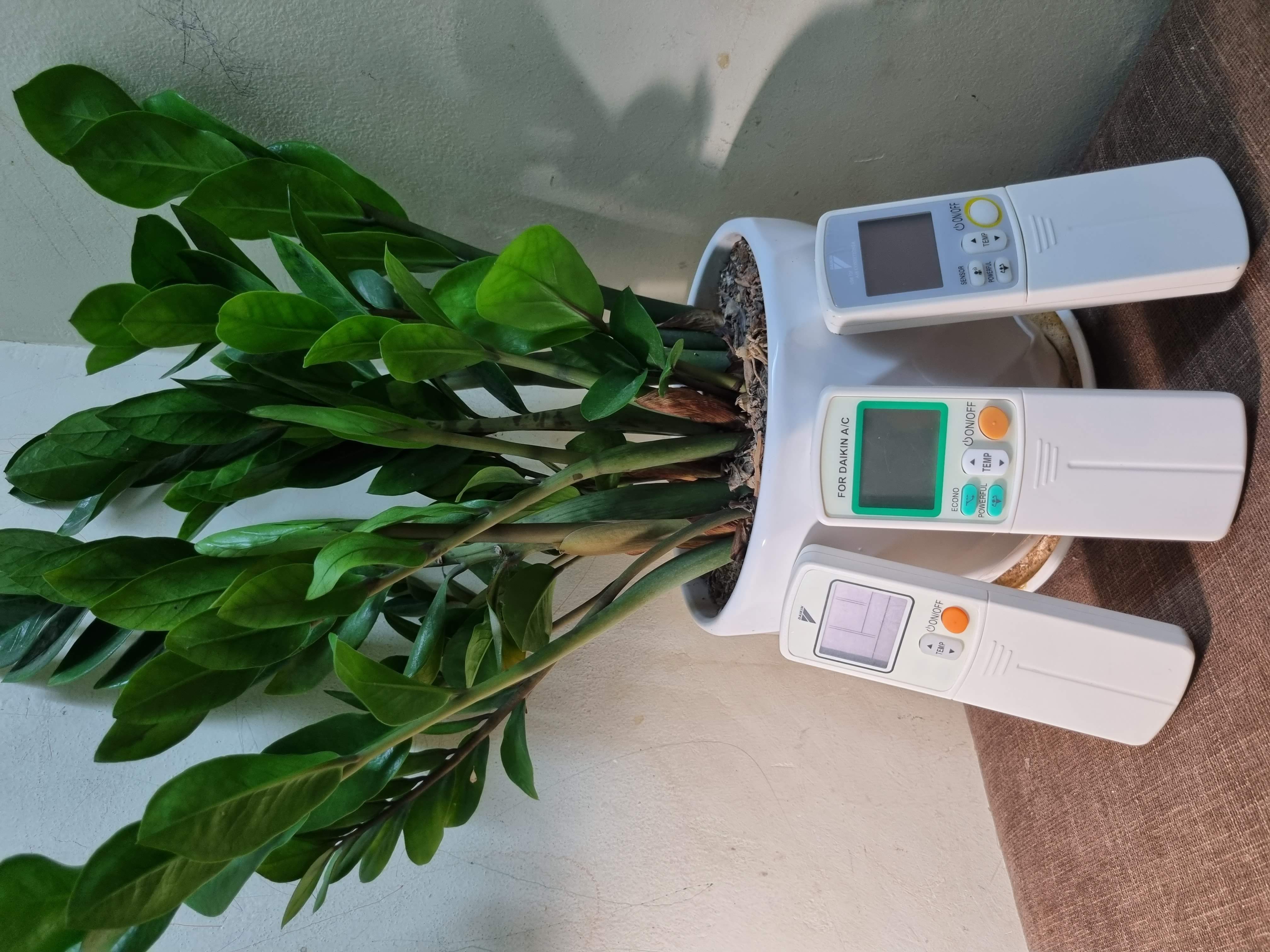 Điều khiển điều hòa DAIKIN - Remote điều hòa DAIKIN