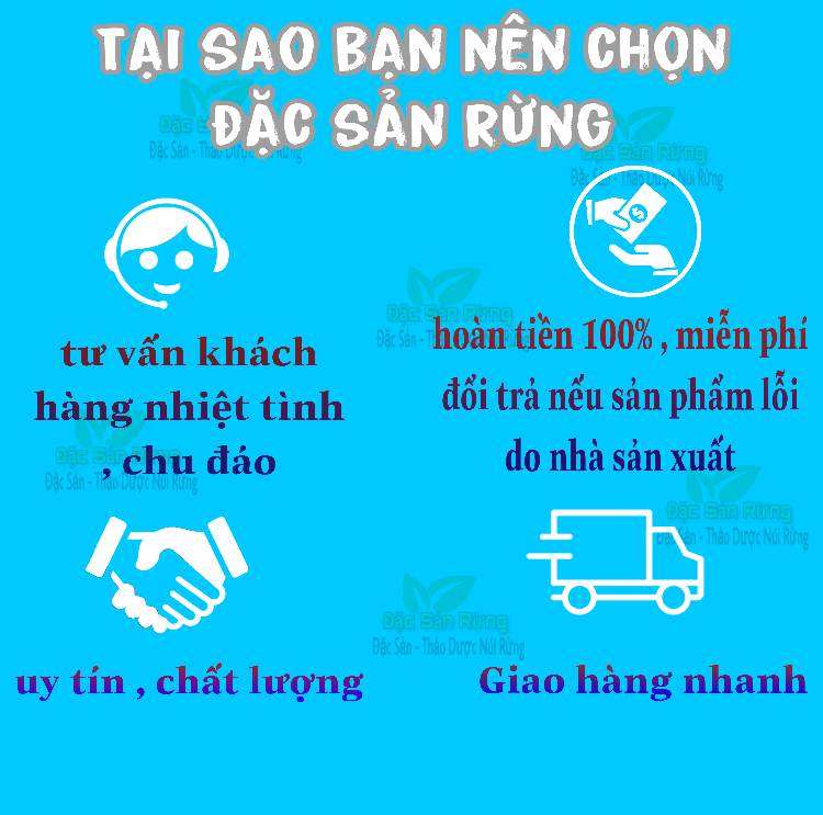 1Kg   Rễ Cây Mú Từn khô ( 100% Rễ , Không Pha Thân )
