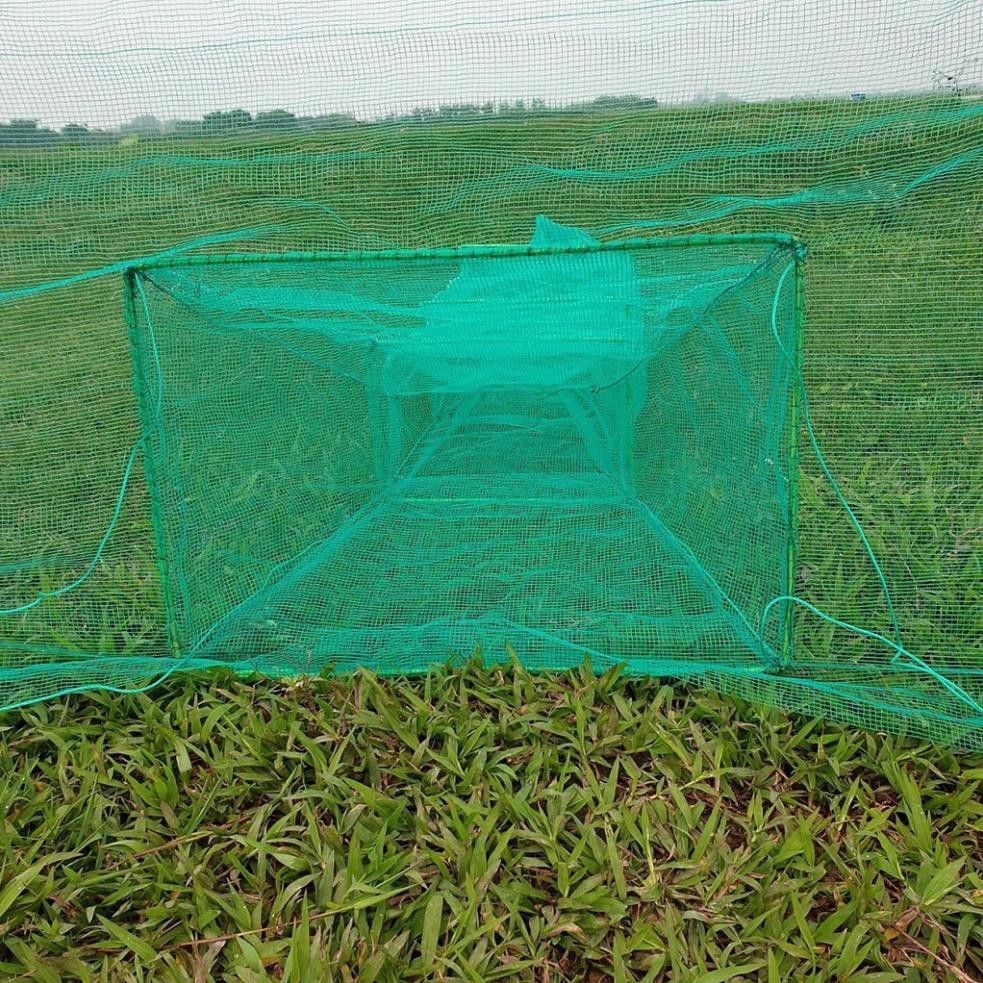 Đăng chặn sông dớn săm bắt cá dài 2m5 đến 8m