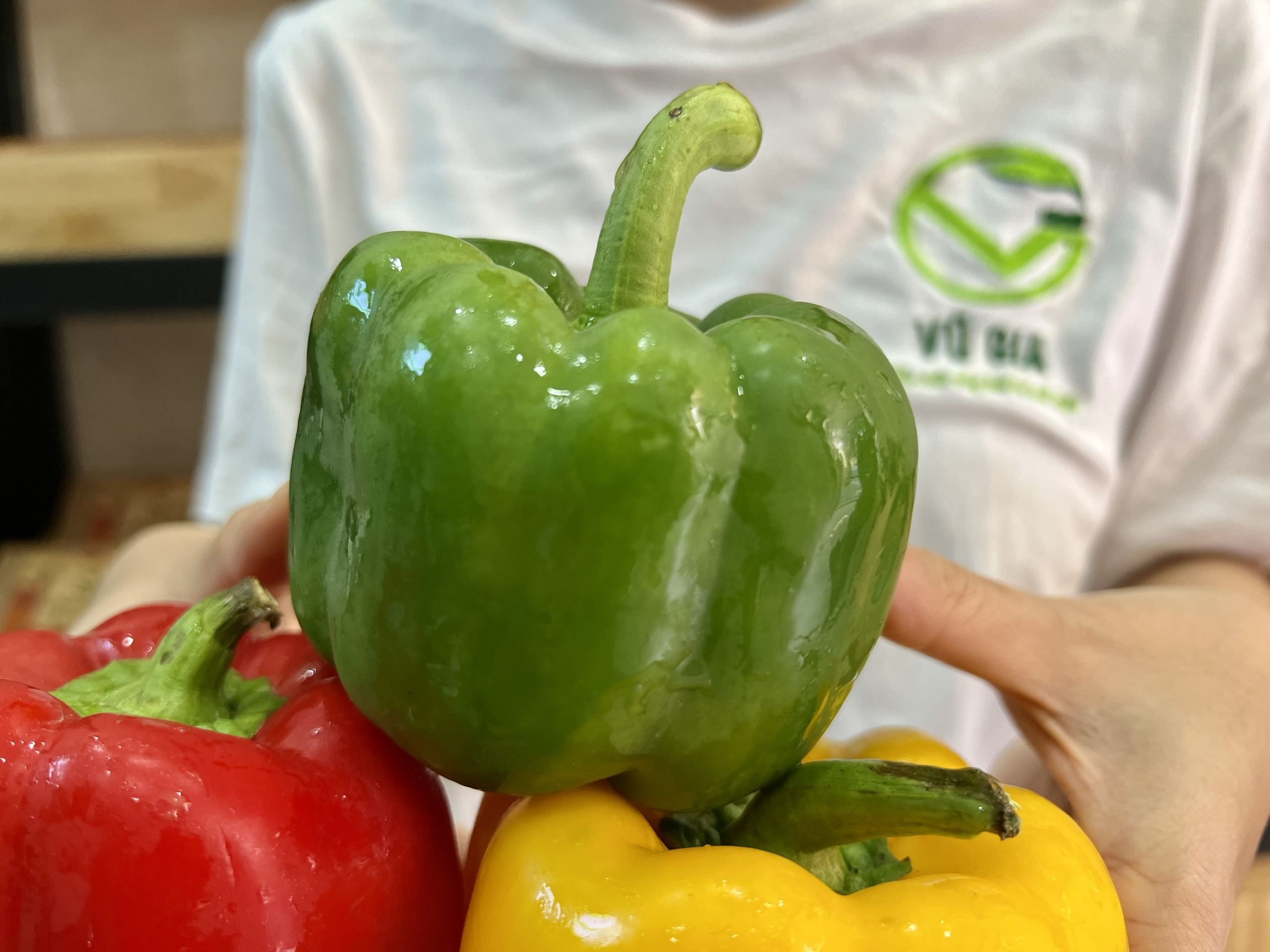 VG FARM Ớt Chuông Đà Lạt (500G/1KG)