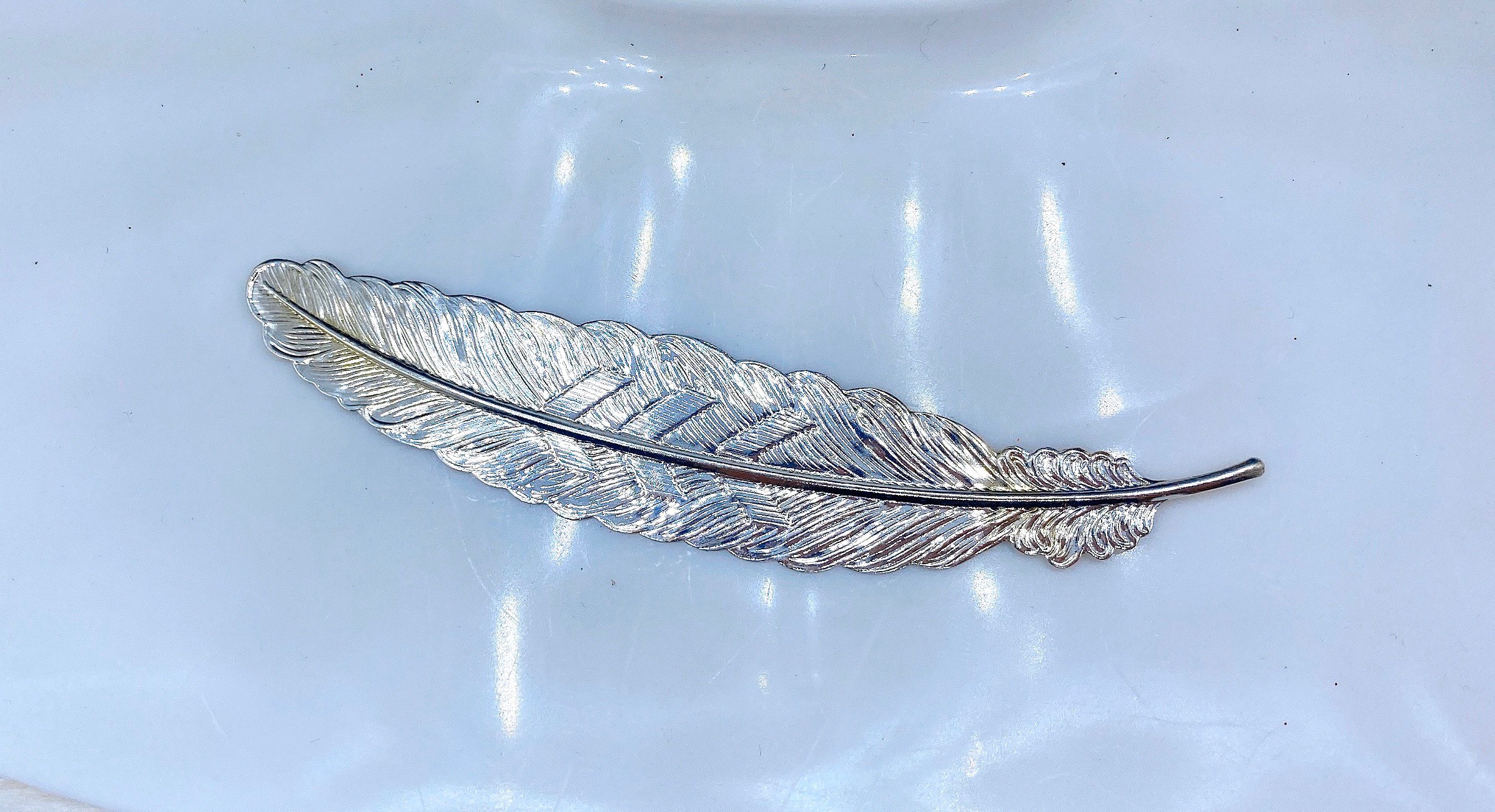 Lông vũ chụp ảnh