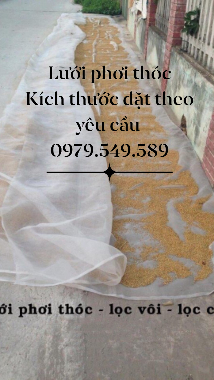 Lưới phơi thóc ,lưới phơi nông sản , lưới phơi cà phê 20m2 ( 4x5)