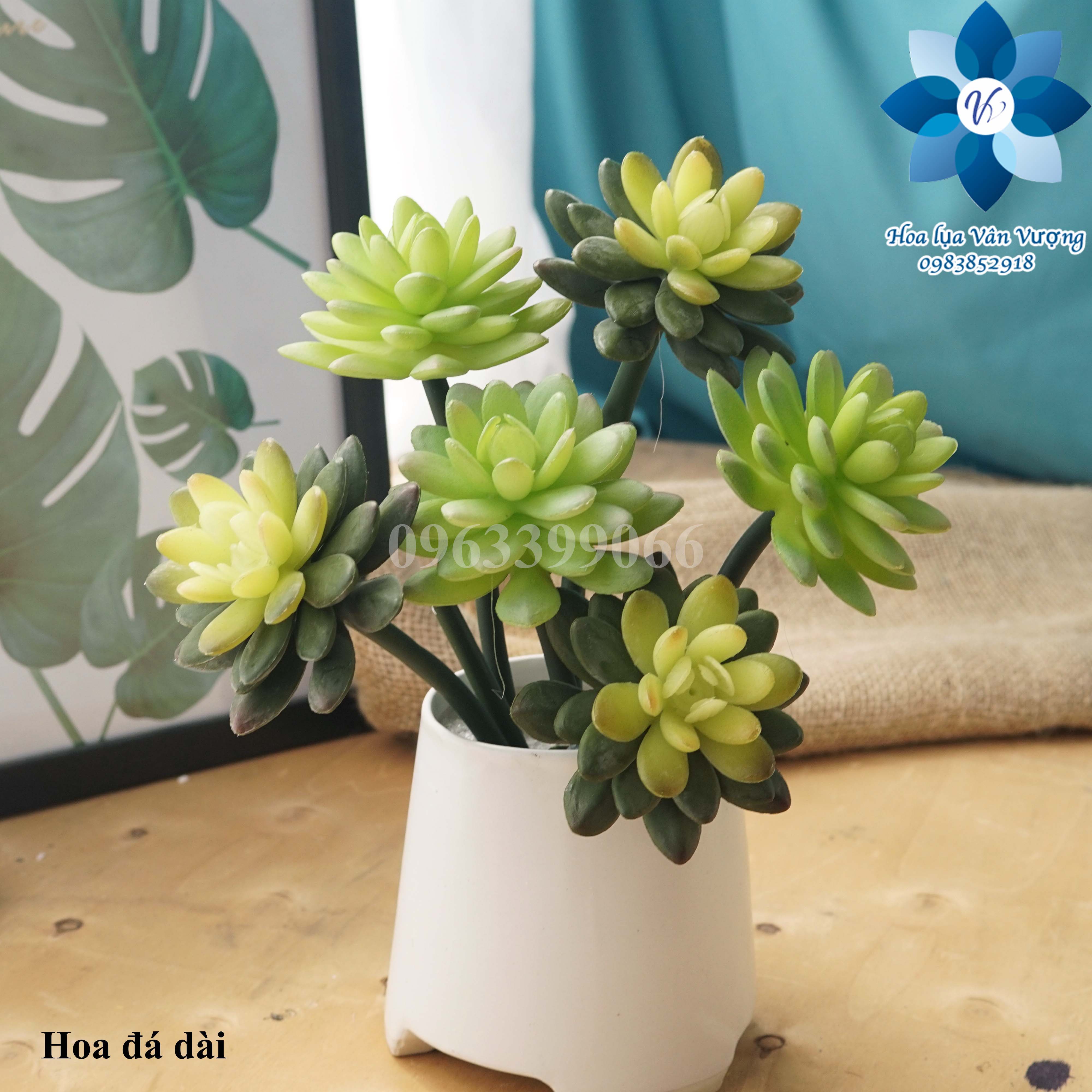 Hoa Đá Giả, Hoa Sen Đá Giả Cành Dài
