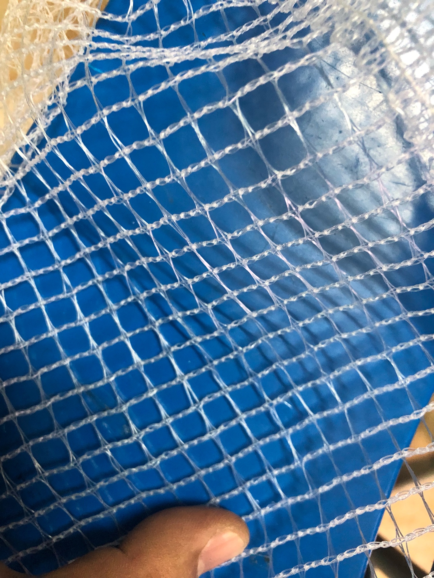 Giọ Đựng Cá Siêu To