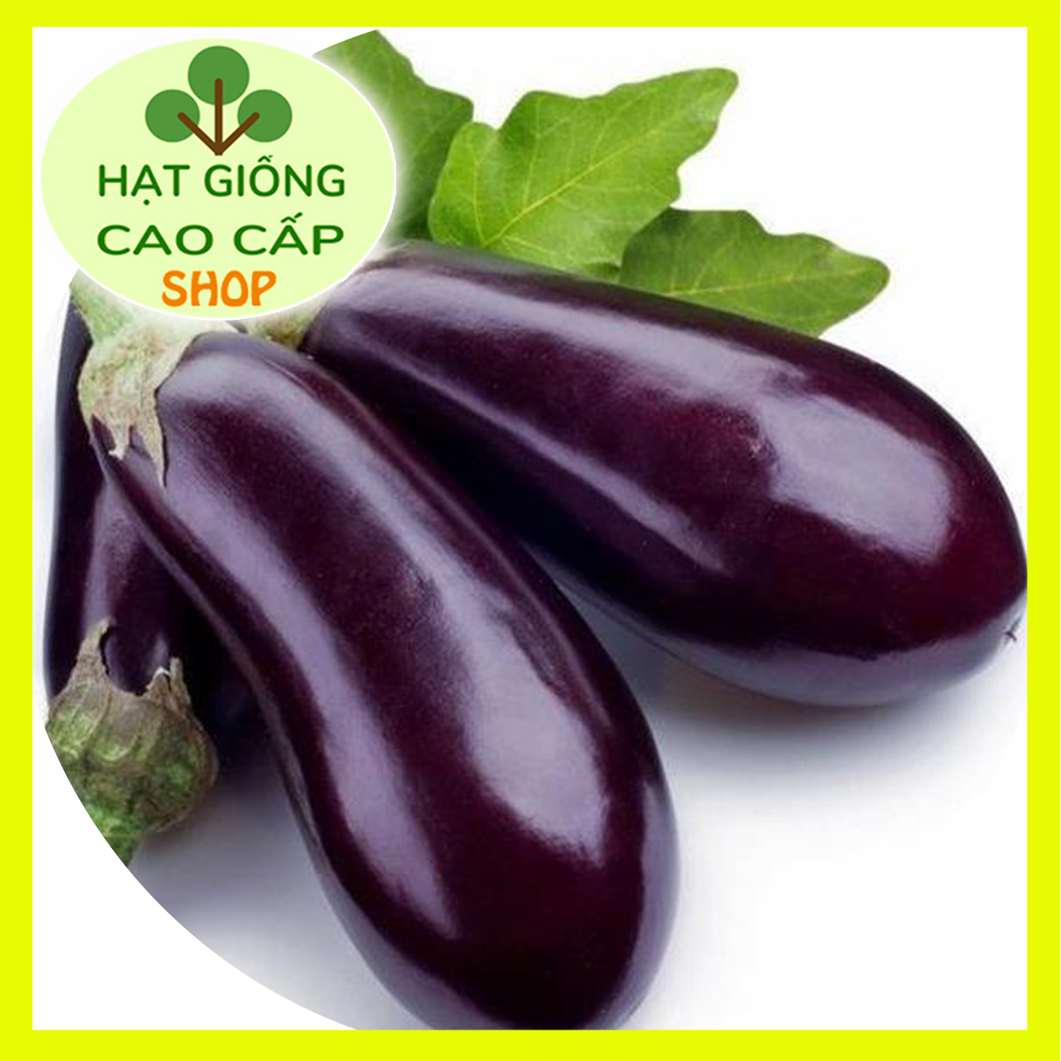 HẠT GIỐNG CÀ TÍM DÀI GÓI 1000MG