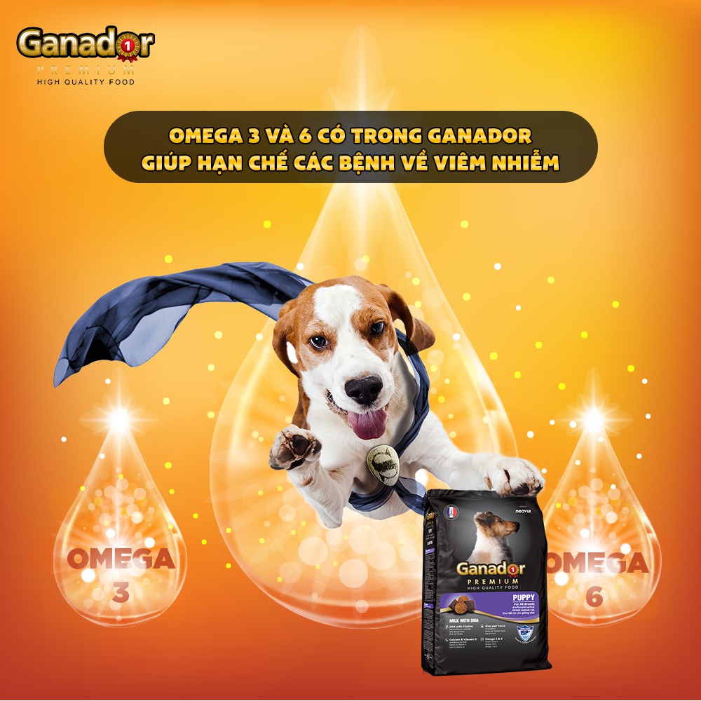 [HCM][Combo 5] Hạt Ganador Cho Chó Con - Sữa & DHA 400g