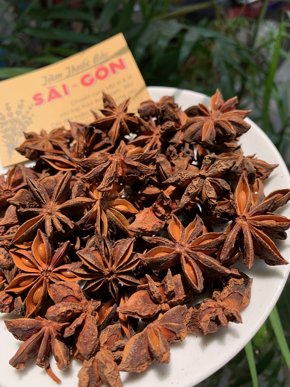 [HCM]Hoa Hồi 100gram