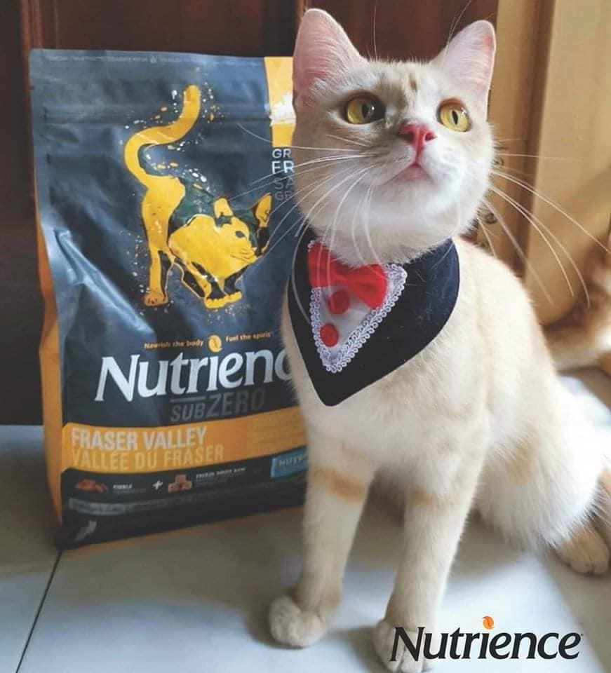 Hạt Nutrience SubZero Cho Mèo Mọi Độ Tuổi (Nhập khẩu Canada)