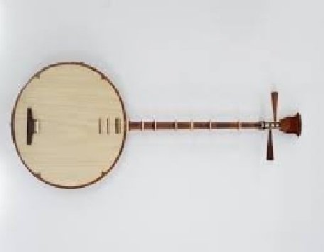 Đàn Nguyệt ( đàn kìm)