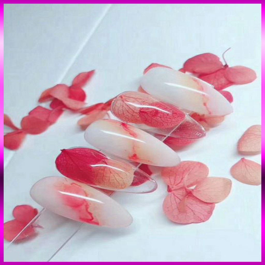 Hoa Khô tường vy cánh Mỏng Ẩn trang trí móng