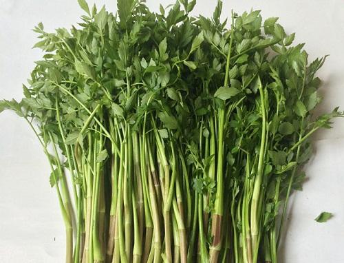 Rau Cần Nước - Chậu Rau