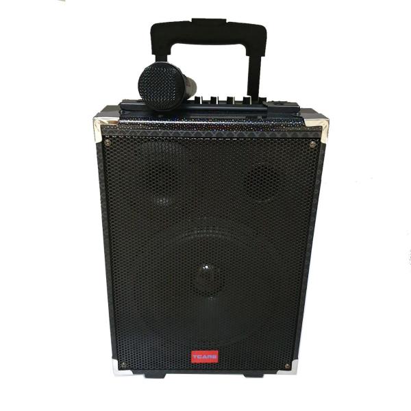 Loa kéo hát Karaoke di động Vỏ gỗ Tcare Z8 - Kèm 01 Micro giá rẻ