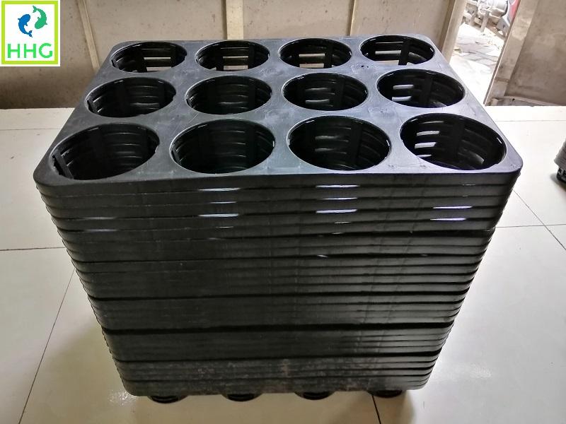 Combo 25 khay nhựa cứng 12 lỗ trồng rau ươm mầm