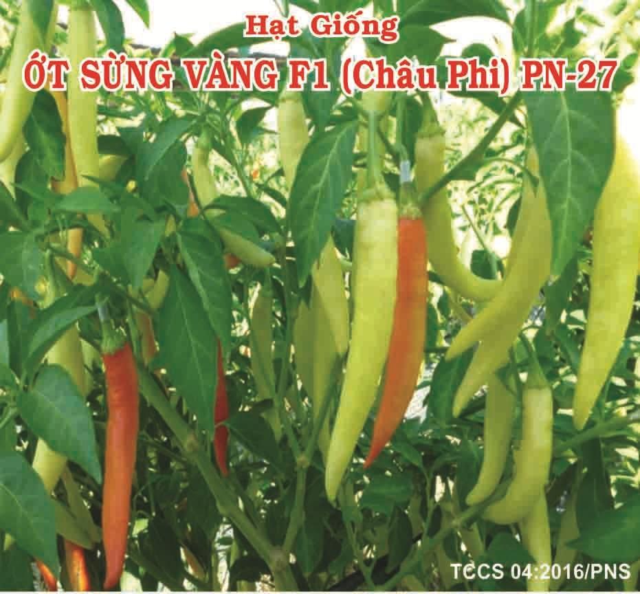 ỚT SỪNG VÀNG F1 (Châu Phi) PN-27