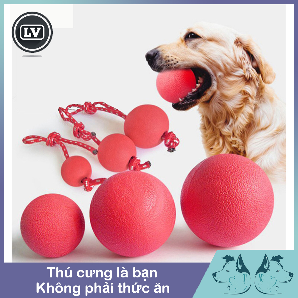 Đồ chơi chó mèo bóng cao su tập gặm cho chó mèo size trung và đại - Phụ kiện Long Vũ