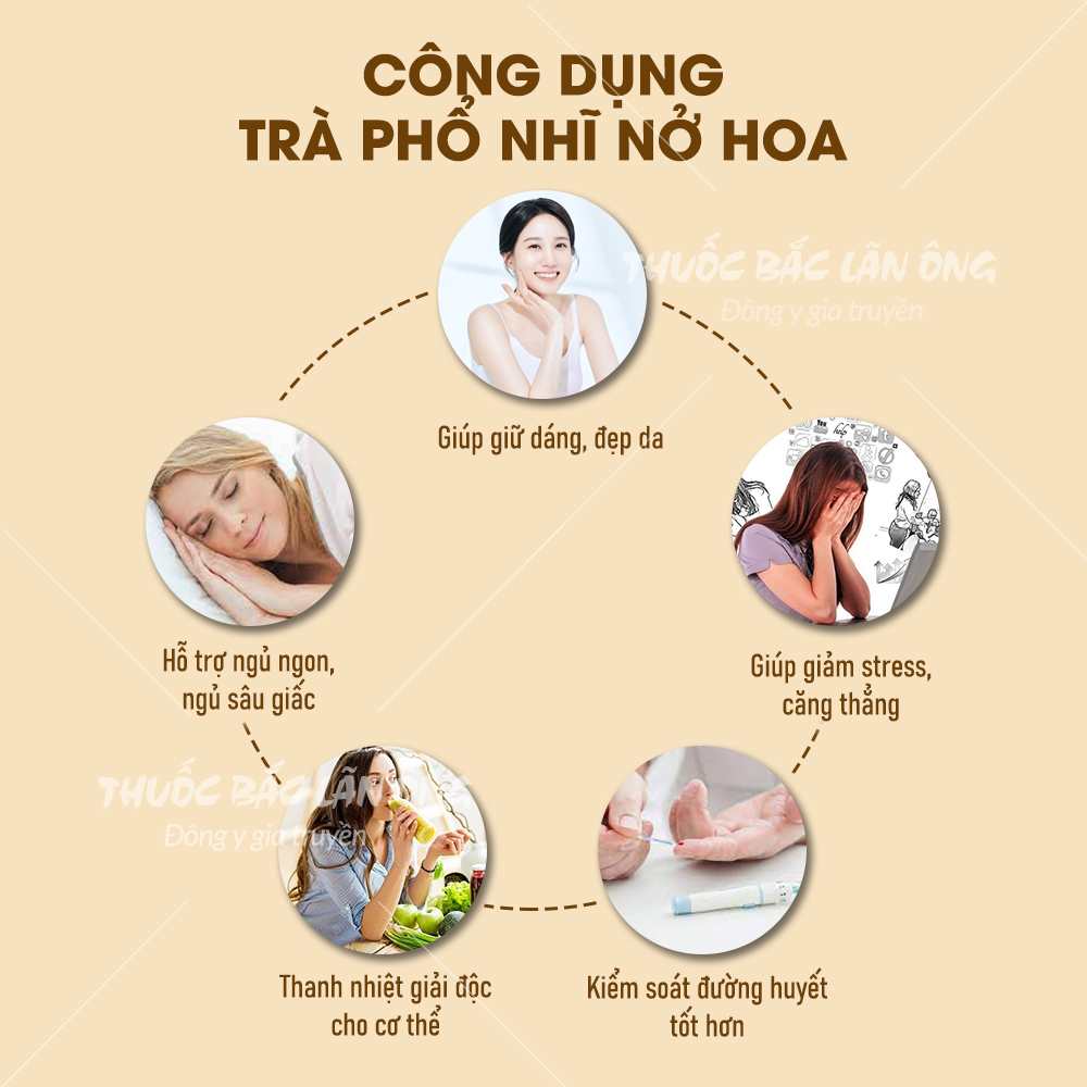 Trà phổ nhĩ nở hoa thượng hạng (10 Viên Tự Chọn)