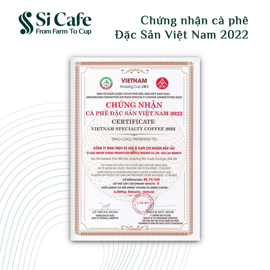 CÀ PHÊ PHIN GIẤY VIBE TỪ SI CAFE - 100% ROBUSTA