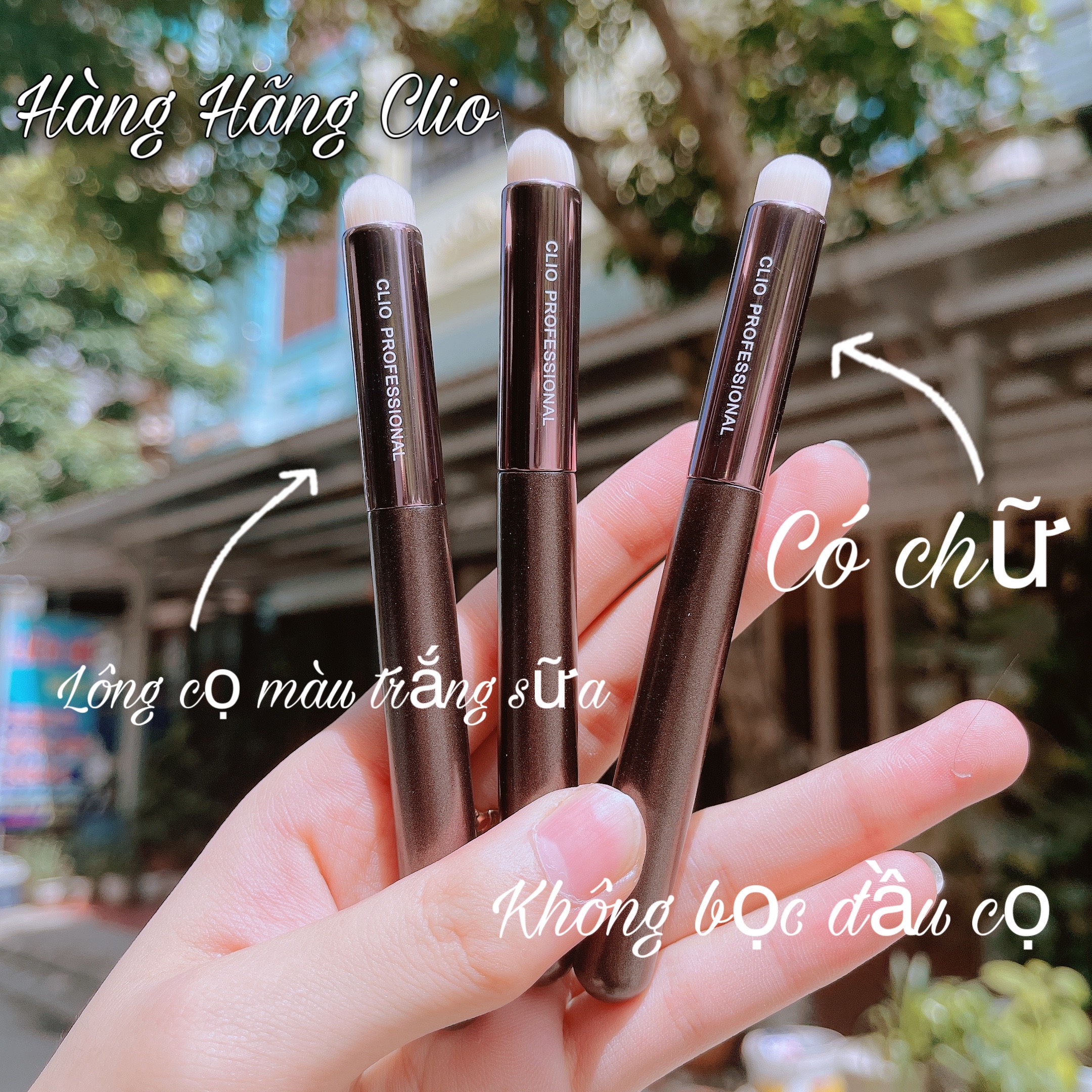 CỌ SON CLIO, CỌ TÁN SON MÔI N10 CLIO [Chính Hãng]