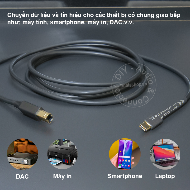 Dây chuyển Type C sang USB BM cho Laptop Smartphone DAC Đàn Máy in - Cáp USB-C sang midi DIY