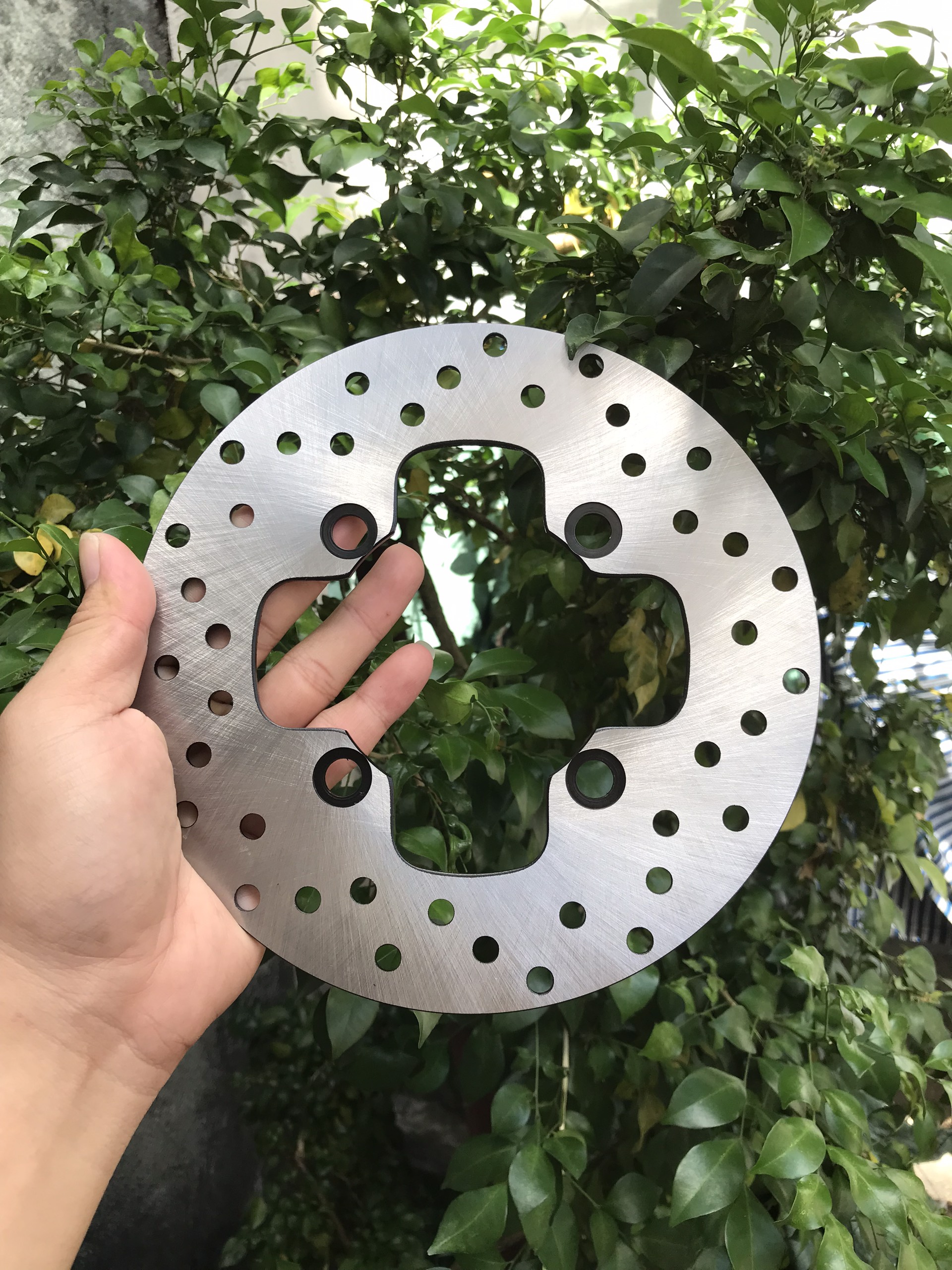 Đĩa sau Ex 135, Đĩa thắng sau Exciter 135