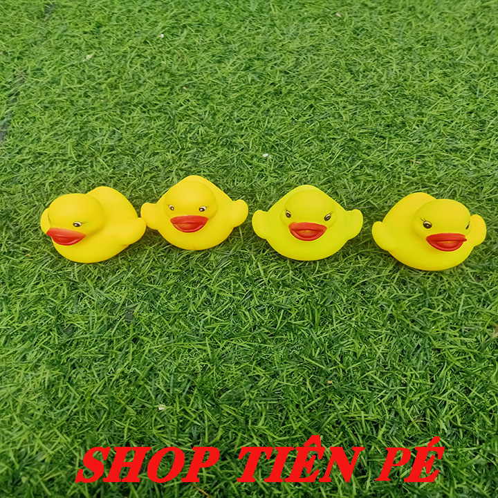 Combo 4 con vịt gắn pô e