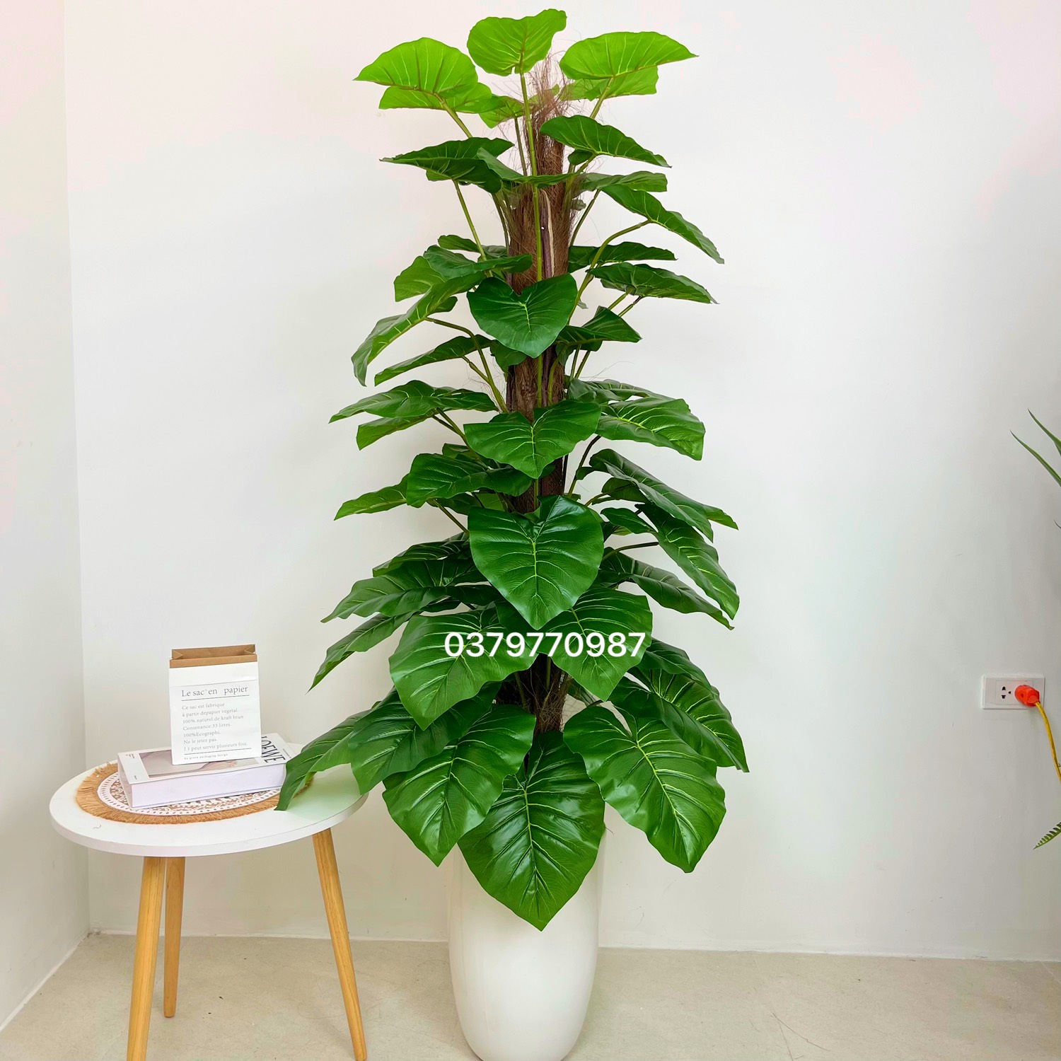 Cây Trầu Bà Cột Giả Cao 1M6