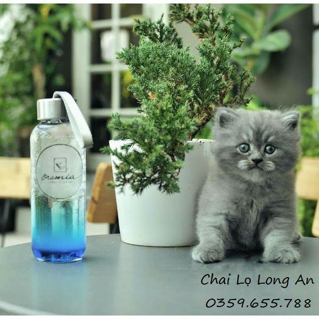 CHAI THỦY TINH NẮP DÂY 300ML~500ML