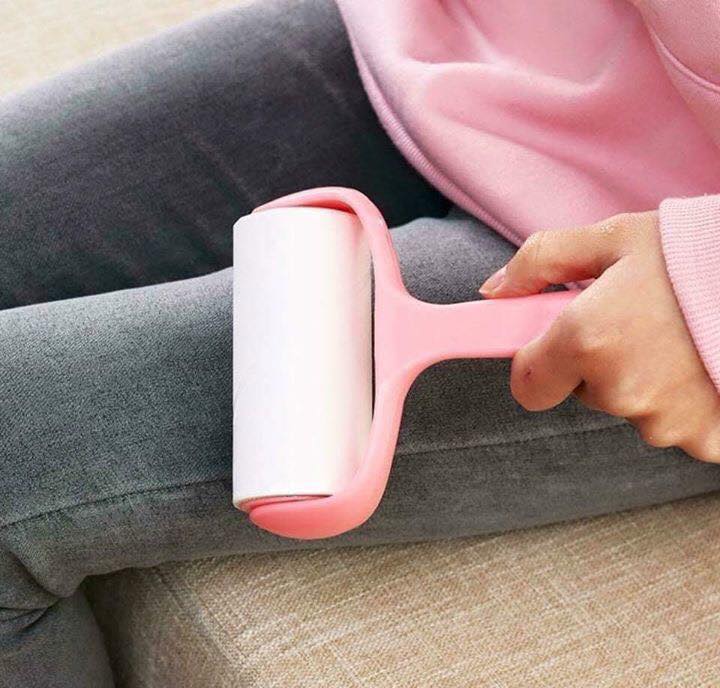 Cây lăn bụi cây lăn lông thú cưng