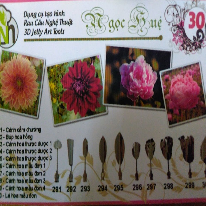 Kim rau câu 3D Ngọc Huệ (bộ số 30 - hoa cẩm chướng thược dược mẫu đơn)