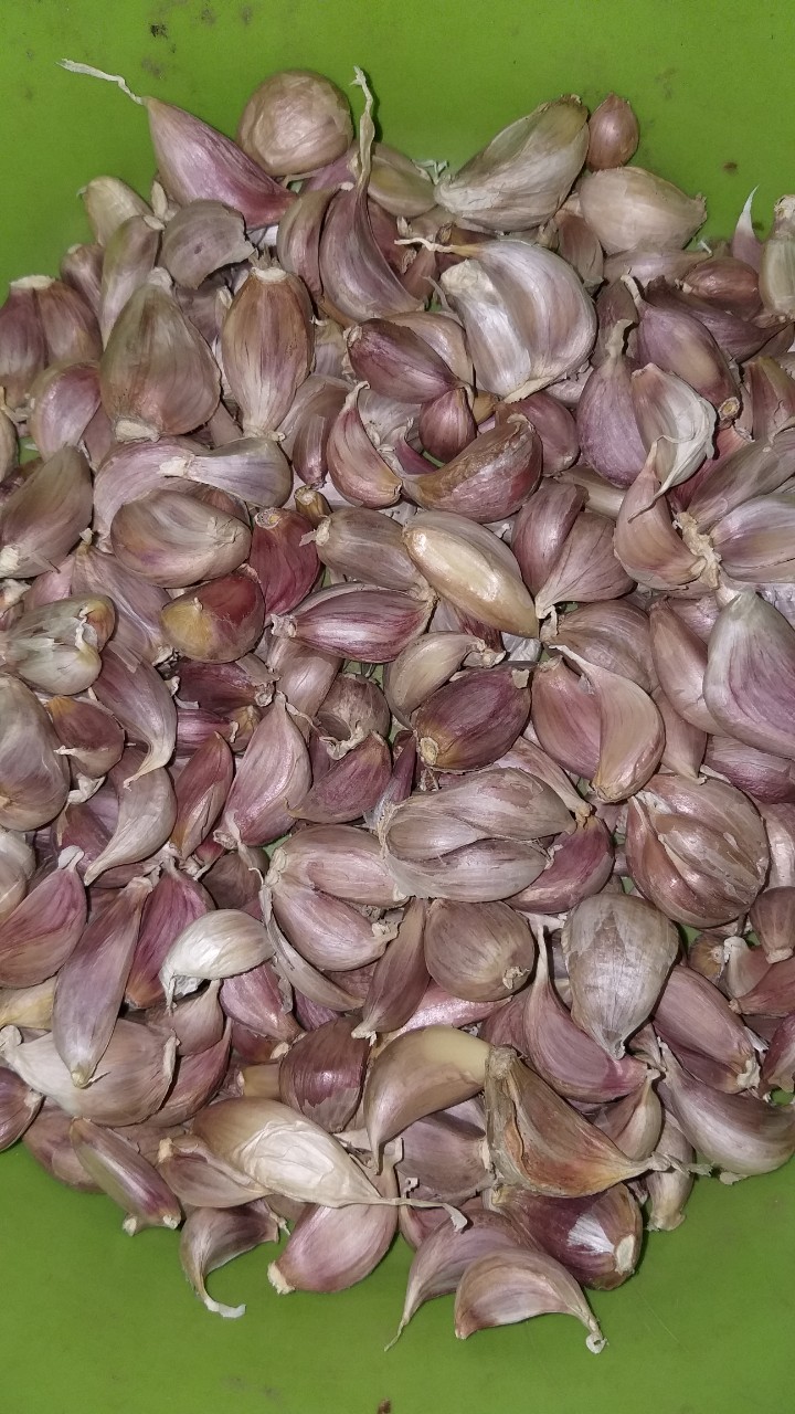 Tỏi Tép rời Hà Nội túi 500gr