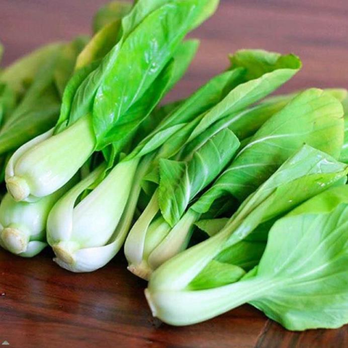 Hạt giống cải thìa - gói 20 gram