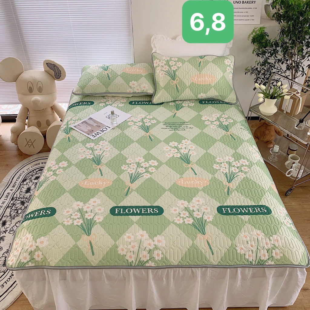 Chiếu Điều Hoà Latex 5D Vip Nhiều Mẫu C.A Decor Store
