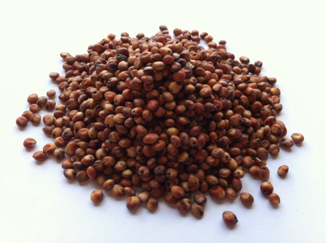 hạt bobo đỏ - ý dĩ 1kg