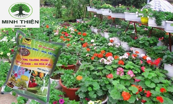 [HCM]Phân bón đầu trâu đa năng 20-20-15 (1kg/gói)